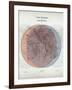 Venn Diagram of Humans - 1873, The World in Hemispheres Map-null-Framed Giclee Print