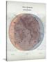 Venn Diagram of Humans - 1873, The World in Hemispheres Map-null-Stretched Canvas