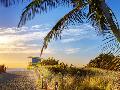 Just the Print