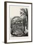 Ventimiglia, from the Cornice Road., Liguria, Italy, 19th Century-null-Framed Giclee Print