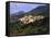 Ventorol, Drome, Rhone Alps, France-Duncan Maxwell-Framed Stretched Canvas