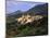 Ventorol, Drome, Rhone Alps, France-Duncan Maxwell-Mounted Photographic Print