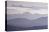 Ventoux View-Charles Bowman-Stretched Canvas
