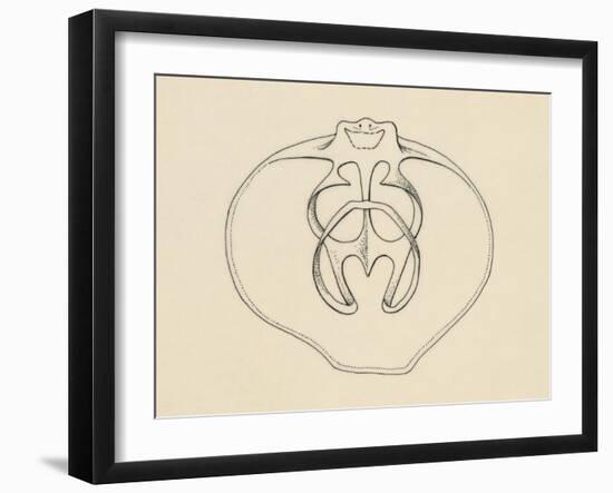 Ventral Valve with Branchiopode and Lophophore-null-Framed Giclee Print