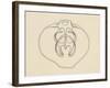 Ventral Valve with Branchiopode and Lophophore-null-Framed Giclee Print