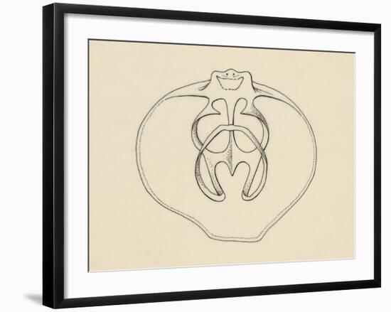 Ventral Valve with Branchiopode and Lophophore-null-Framed Giclee Print