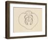 Ventral Valve with Branchiopode and Lophophore-null-Framed Giclee Print