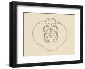 Ventral Valve with Branchiopode and Lophophore-null-Framed Giclee Print