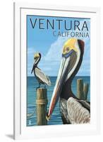 Ventura, California - Brown Pellican-Lantern Press-Framed Art Print