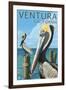 Ventura, California - Brown Pellican-Lantern Press-Framed Art Print