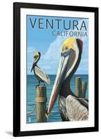 Ventura, California - Brown Pellican-Lantern Press-Framed Art Print