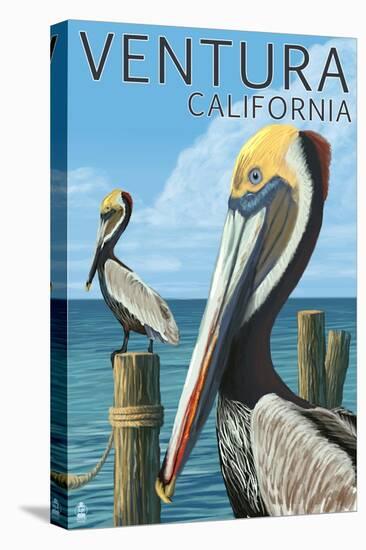 Ventura, California - Brown Pellican-Lantern Press-Stretched Canvas