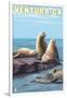 Ventura, California - Sea Lions-Lantern Press-Framed Art Print