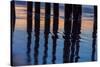 Ventura Pier Reflections I-Lee Peterson-Stretched Canvas