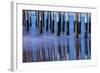 Ventura Pier Reflections II-Lee Peterson-Framed Photo