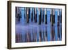 Ventura Pier Reflections II-Lee Peterson-Framed Photo