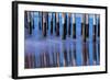 Ventura Pier Reflections II-Lee Peterson-Framed Photo