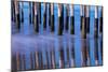 Ventura Pier Reflections II-Lee Peterson-Mounted Photo