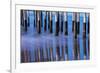 Ventura Pier Reflections II-Lee Peterson-Framed Photo