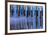 Ventura Pier Reflections II-Lee Peterson-Framed Photo