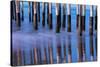 Ventura Pier Reflections II-Lee Peterson-Stretched Canvas