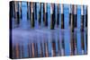 Ventura Pier Reflections II-Lee Peterson-Stretched Canvas