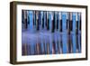 Ventura Pier Reflections II-Lee Peterson-Framed Photo