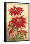 Ventura, the Poinsettia Capital-null-Framed Stretched Canvas
