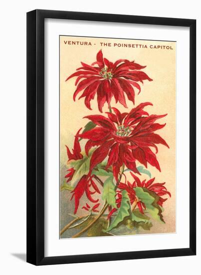 Ventura, the Poinsettia Capital-null-Framed Art Print