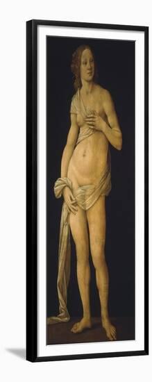 Venus, 1493-93-Lorenzo di Credi-Framed Giclee Print