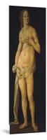 Venus, 1493-93-Lorenzo di Credi-Mounted Giclee Print