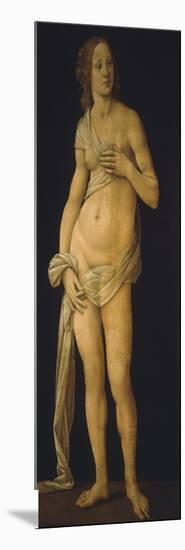 Venus, 1493-93-Lorenzo di Credi-Mounted Giclee Print