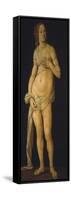 Venus, 1493-93-Lorenzo di Credi-Framed Stretched Canvas