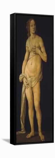 Venus, 1493-93-Lorenzo di Credi-Framed Stretched Canvas