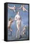 Venus, 1640-Jacques Stella-Framed Stretched Canvas