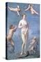 Venus, 1640-Jacques Stella-Stretched Canvas