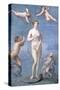 Venus, 1640-Jacques Stella-Stretched Canvas