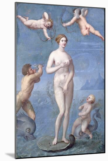 Venus, 1640-Jacques Stella-Mounted Giclee Print