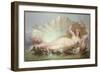 Venus, 1852-Henry Courtney Selous-Framed Giclee Print