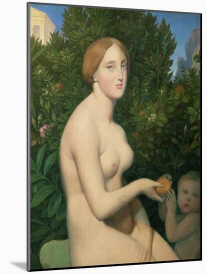 Venus a Paphos, 1852 / 1853-Jean Auguste Dominique Ingres-Mounted Giclee Print