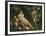 Venus, Adonis and Cupid-Annibale Carracci-Framed Giclee Print