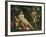 Venus, Adonis and Cupid-Annibale Carracci-Framed Giclee Print