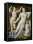 Venus, Amor Und Die Eifersucht-Agnolo Bronzino-Framed Stretched Canvas