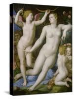 Venus, Amor Und Die Eifersucht-Agnolo Bronzino-Stretched Canvas