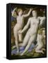 Venus, Amor Und Die Eifersucht-Agnolo Bronzino-Framed Stretched Canvas