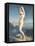 Venus Anadyomene, or Venus of the Sea, 1838-Theodore Chasseriau-Framed Stretched Canvas