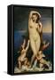 Venus Anadyomene-Jean-Auguste-Dominique Ingres-Framed Stretched Canvas