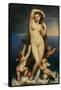 Venus Anadyomene-Jean-Auguste-Dominique Ingres-Framed Stretched Canvas