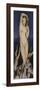 Venus Anadyomene-Jean-Auguste-Dominique Ingres-Framed Giclee Print