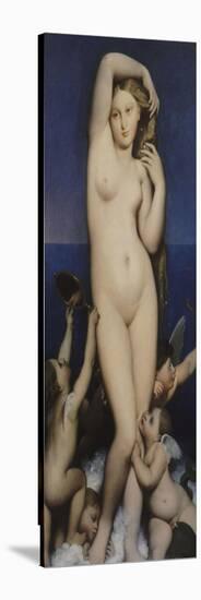 Venus Anadyomene-Jean-Auguste-Dominique Ingres-Stretched Canvas